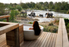 Lodge africa south river lion safari sands big five