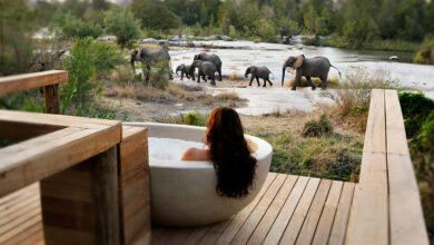 Lodge africa south river lion safari sands big five