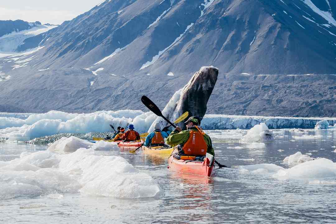 Aurora expeditions subsidiary launching vantage explorations