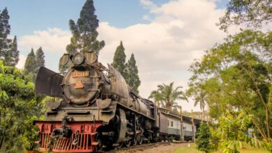 Bishop museum debuts trolley service