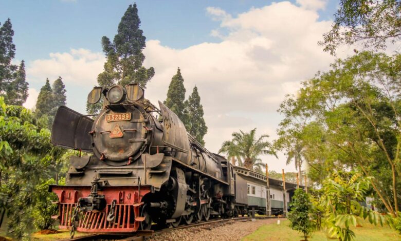 Bishop museum debuts trolley service