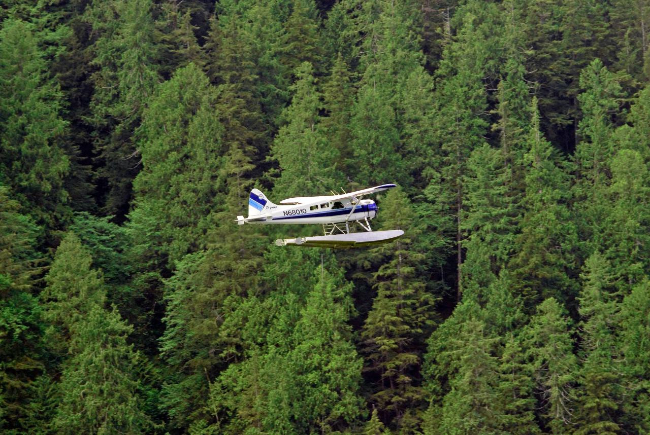 Alaska float plane crash kills holland america guests