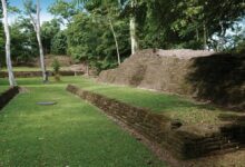 Belize investigating the bulldozing of mayan ruins