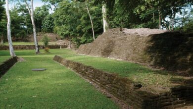 Belize investigating the bulldozing of mayan ruins