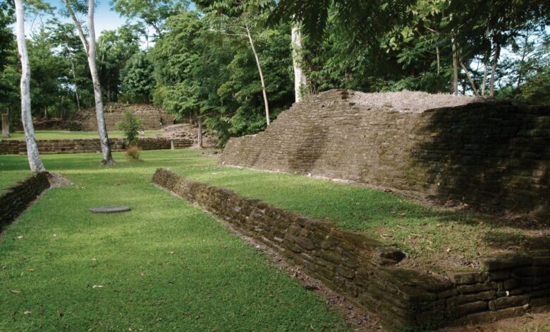 Belize investigating the bulldozing of mayan ruins