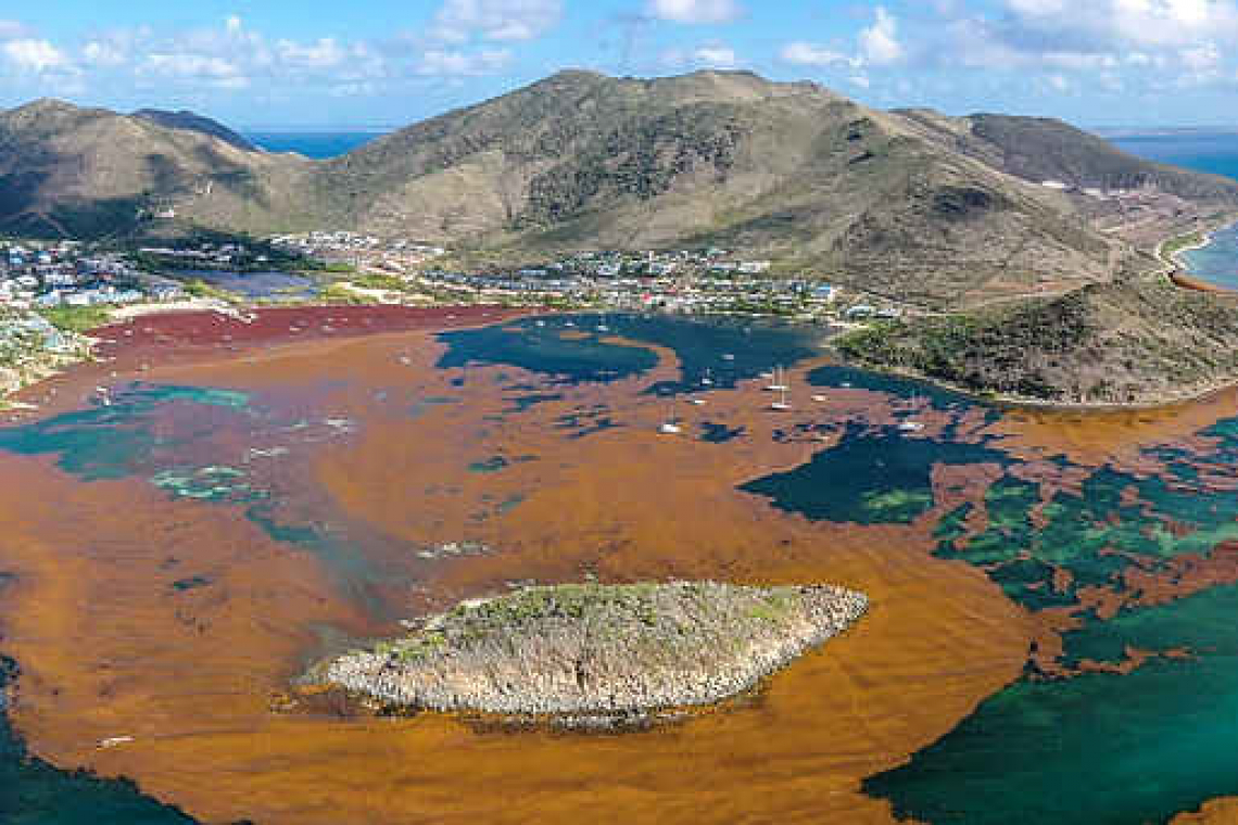 Antigua resort to temporarily close after sargassum influx