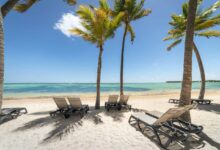 Allianz thanksgiving travel index shows punta cana rebound