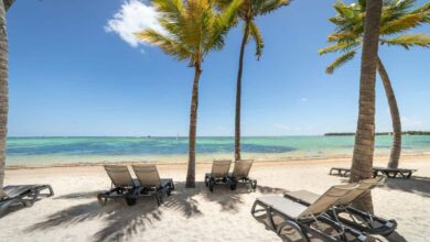 Allianz thanksgiving travel index shows punta cana rebound