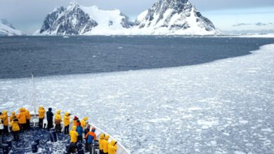 Antarctica cruise lines approve new safety procedures