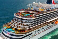 Carnival economy industry gained billion cruise