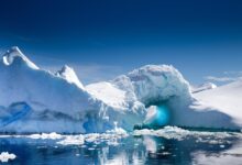 Antarctic sailings are abundant this winter