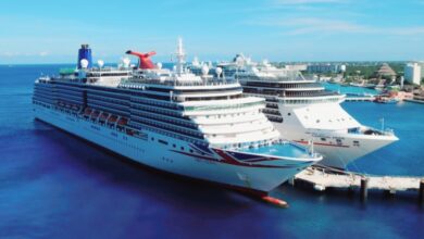 Carnival corp profit down 32 7 in q1