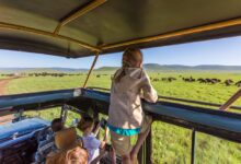 American safari sets discounts on charter itineraries