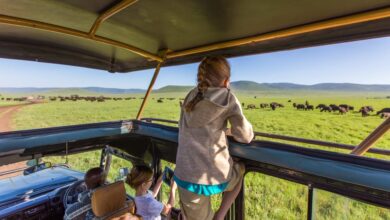 American safari sets discounts on charter itineraries