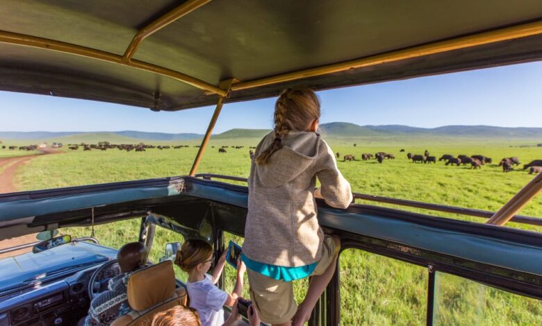 American safari sets discounts on charter itineraries