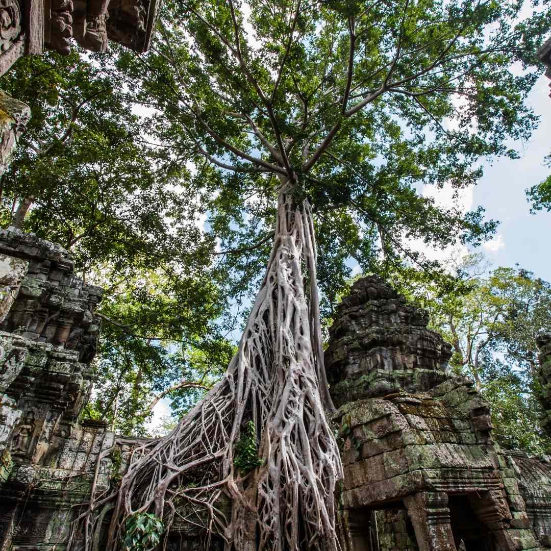 Beyond temples on cambodia tour