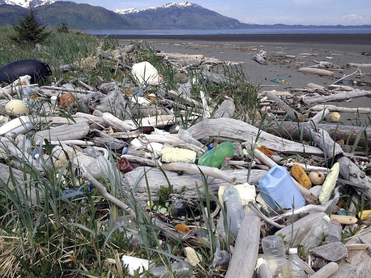 Alaska waste disposal report is inconclusive