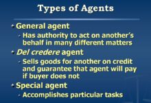 Agent or a consultant there s a difference