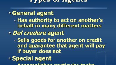 Agent or a consultant there s a difference