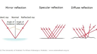 Backscatters millimeter waves puffers and you