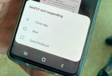 Carnival testing verifly app