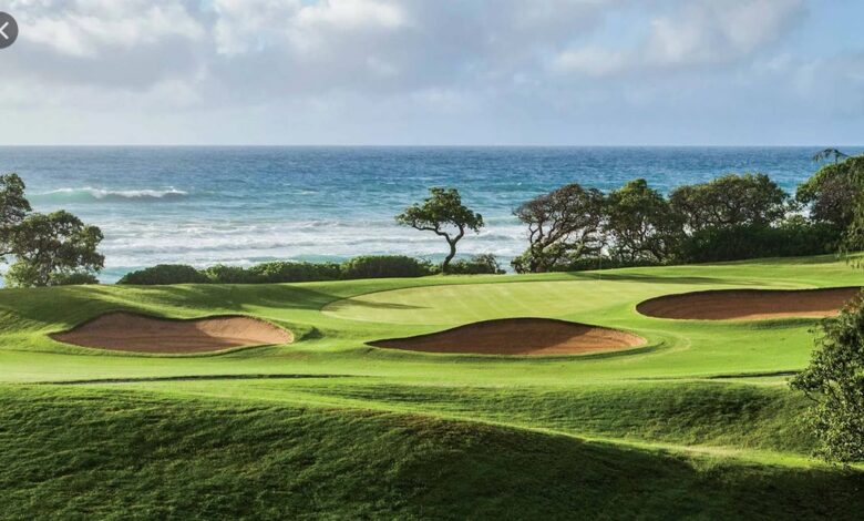 Best hawaii public golf course