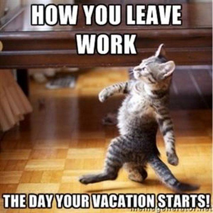 Ah knowing it s vacation time