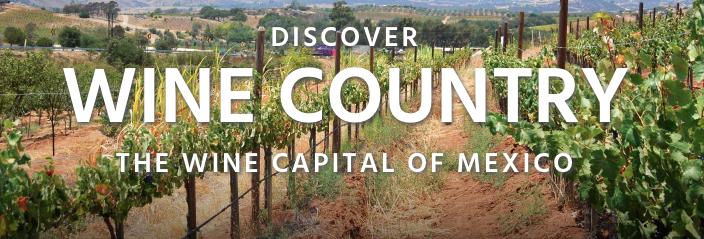 Baja california quick q interview on culinary wellness wine country