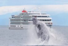 American cruise lines getting into the alaska spirit