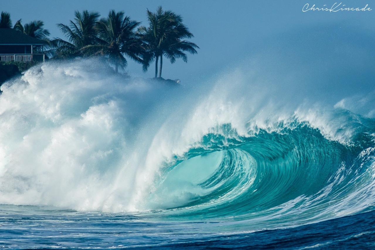 All gather on oahus north shore when the big ones come