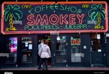 Cannabis coffeeshop comes to st maarten