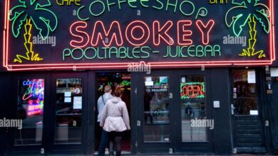 Cannabis coffeeshop comes to st maarten