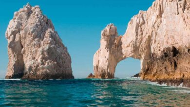 Baja california attractions and activities