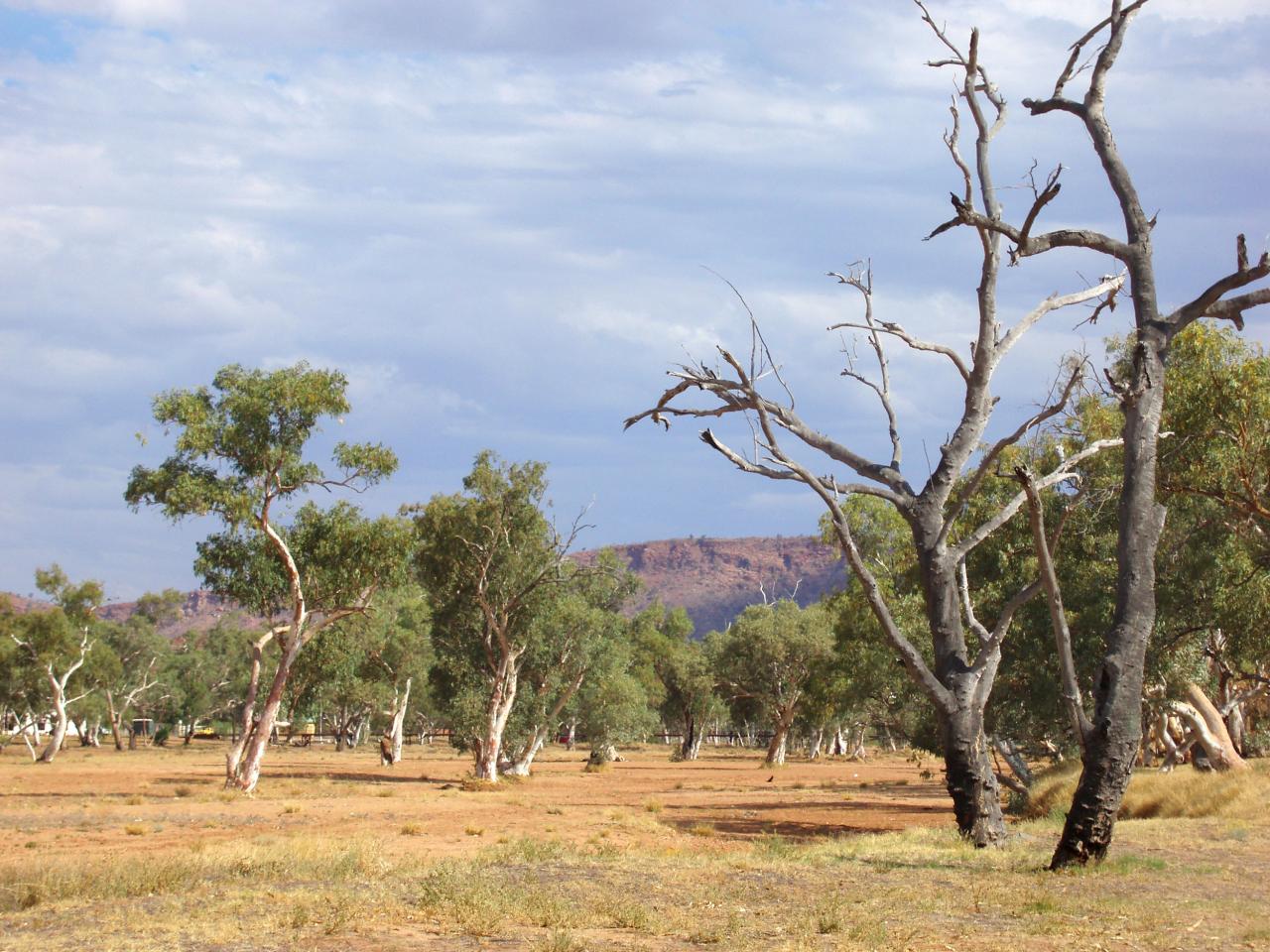 Australia tourism reaches out to us during bushfire crisis