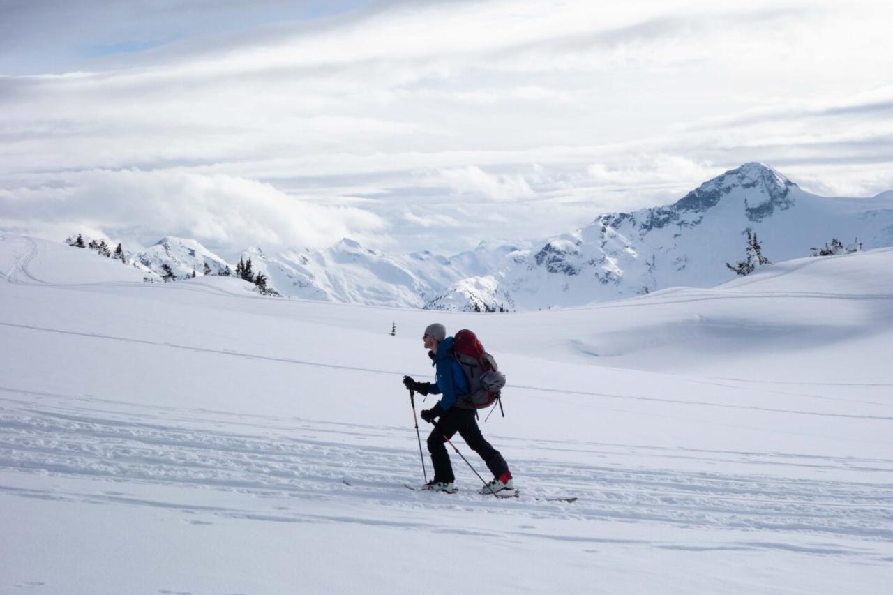 Avalanche center offers backcountry tours