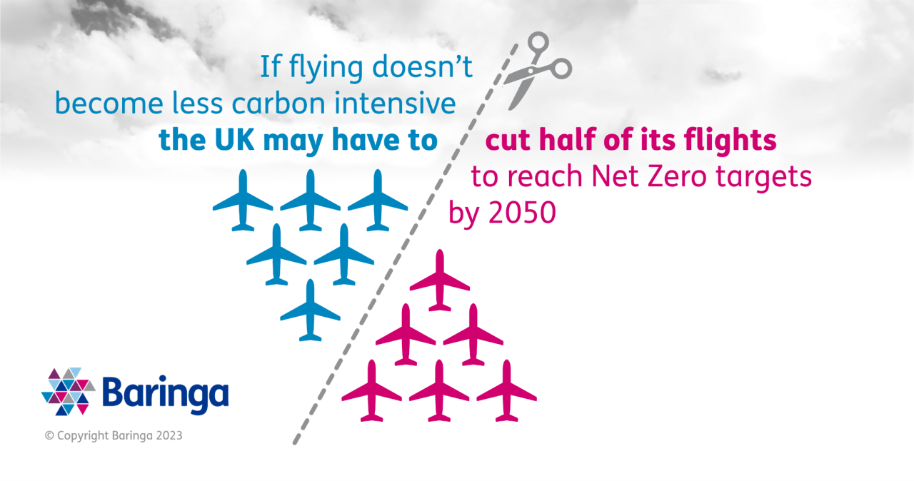 Airlines cant hit net zero goal on their own