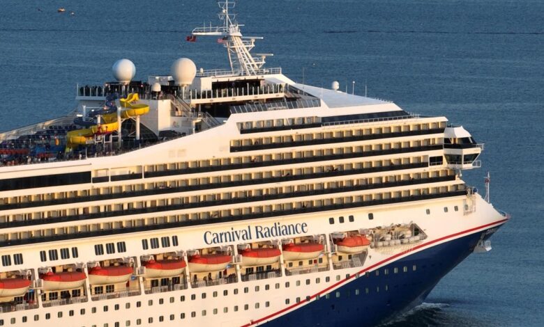 Carnival reports 10 profit increase despite bad economy