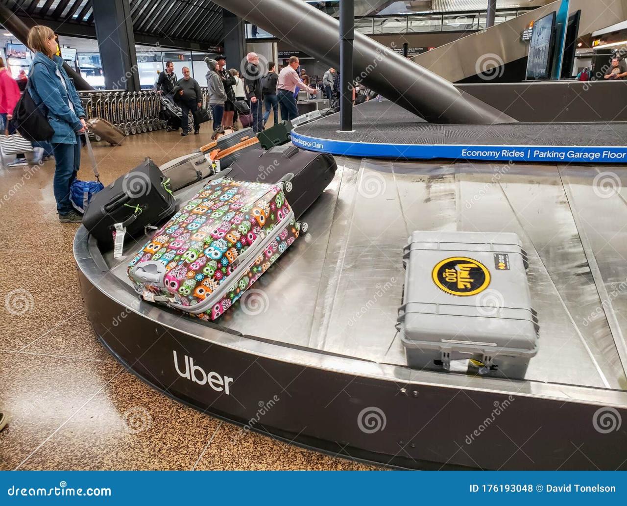 Baggage claim a bigger pain according to j d power study