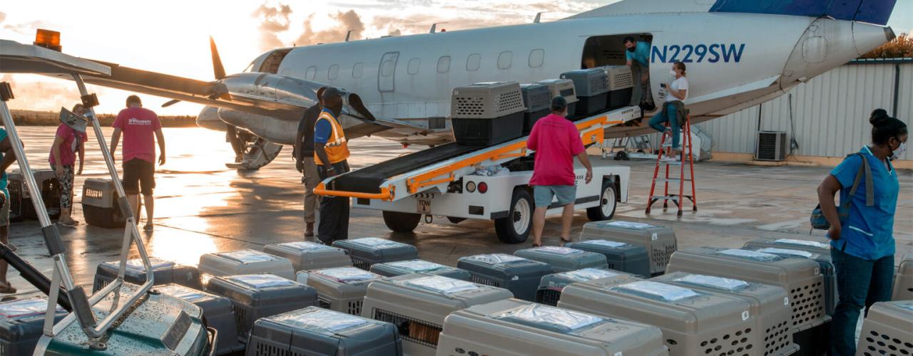 Bahamas getting additional airlift