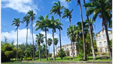 A banner year for barbados