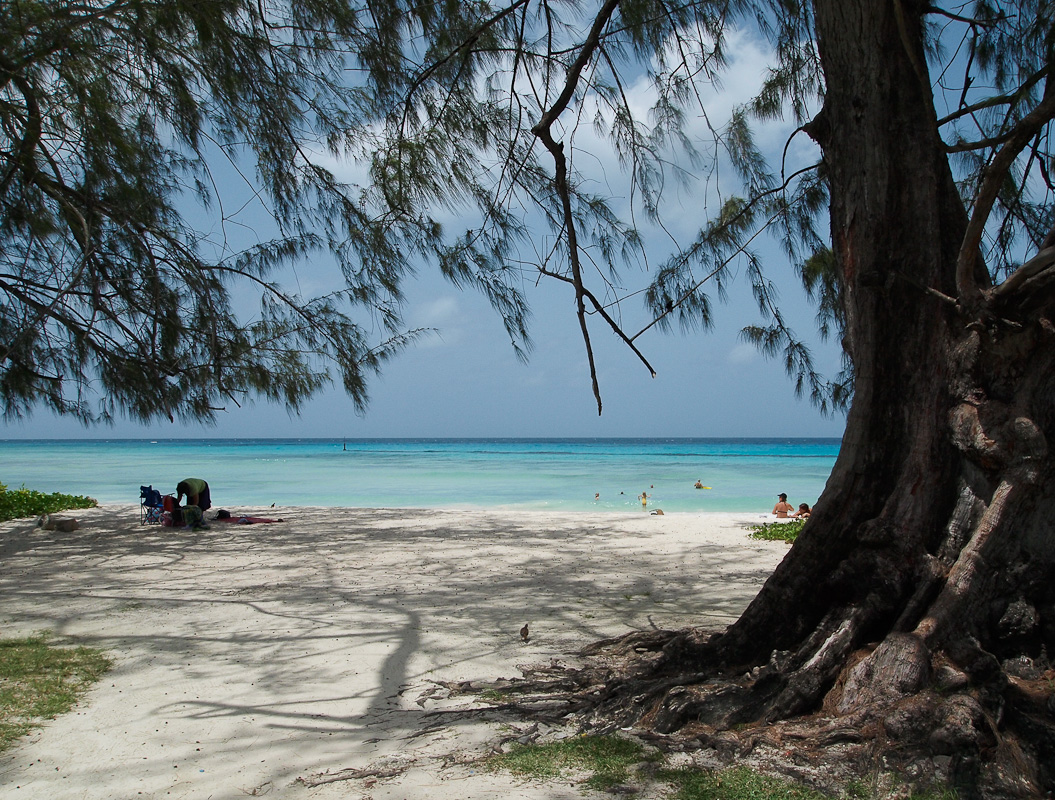 Barbados beaches project stalled over government concessions