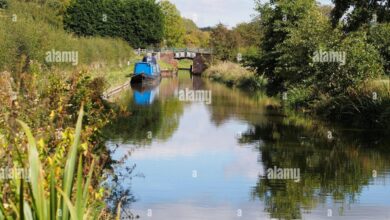 Canal barging attracting more families