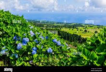 Best of portugal in slow motion on scenic azure