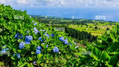 Best of portugal in slow motion on scenic azure