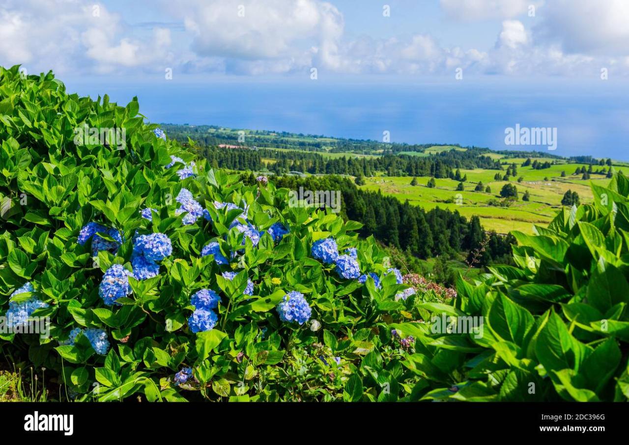 Best of portugal in slow motion on scenic azure