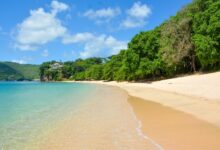 Bequia beach empty of guests keeps busy with refurbs