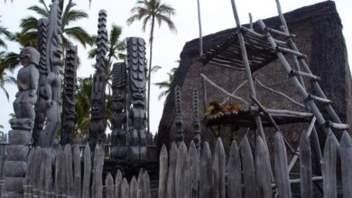 Big isle eco tour helps restore native hawaiian forest