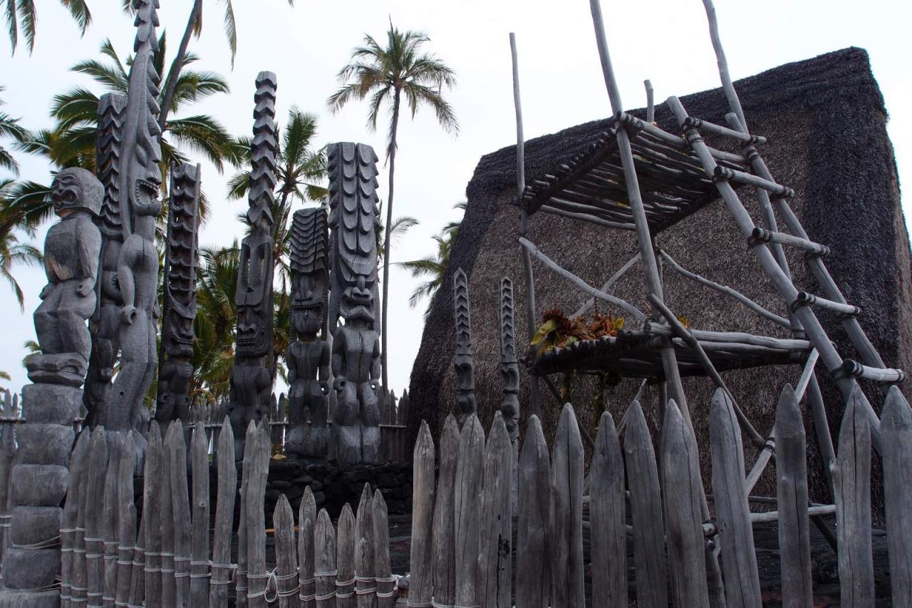 Big isle eco tour helps restore native hawaiian forest