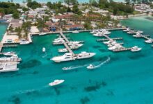 Bimini game big club marina resort marinas dock