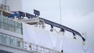 Carnival roller coaster to let riders choose their own speed